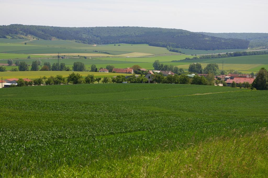 Gite Au Chalet Laferté-sur-Aube الغرفة الصورة
